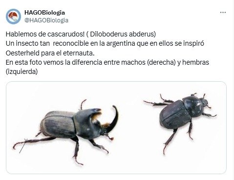 El Eternauta, insectos, Netflix, Oesterheld